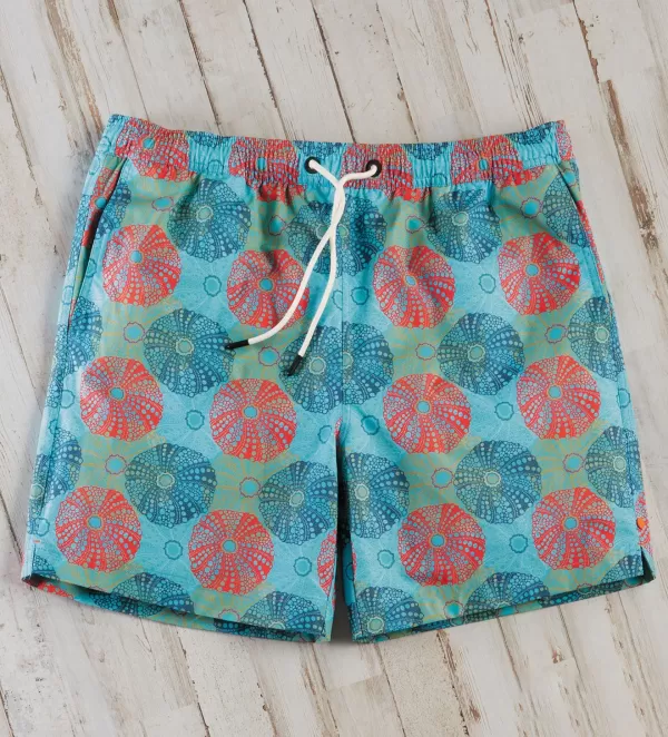 Swims Sand Dollar Swim Shorts- Swimwear